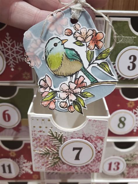Bird Advent Calendar